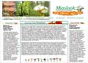 Diseño web micolook