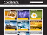 Diseño wordpress Newschannel