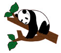 Ilustración oso panda