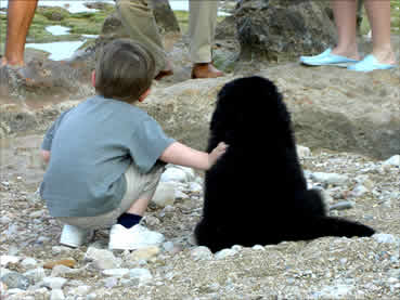 Niño con cachorro de terranova