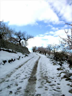 Camino nevado